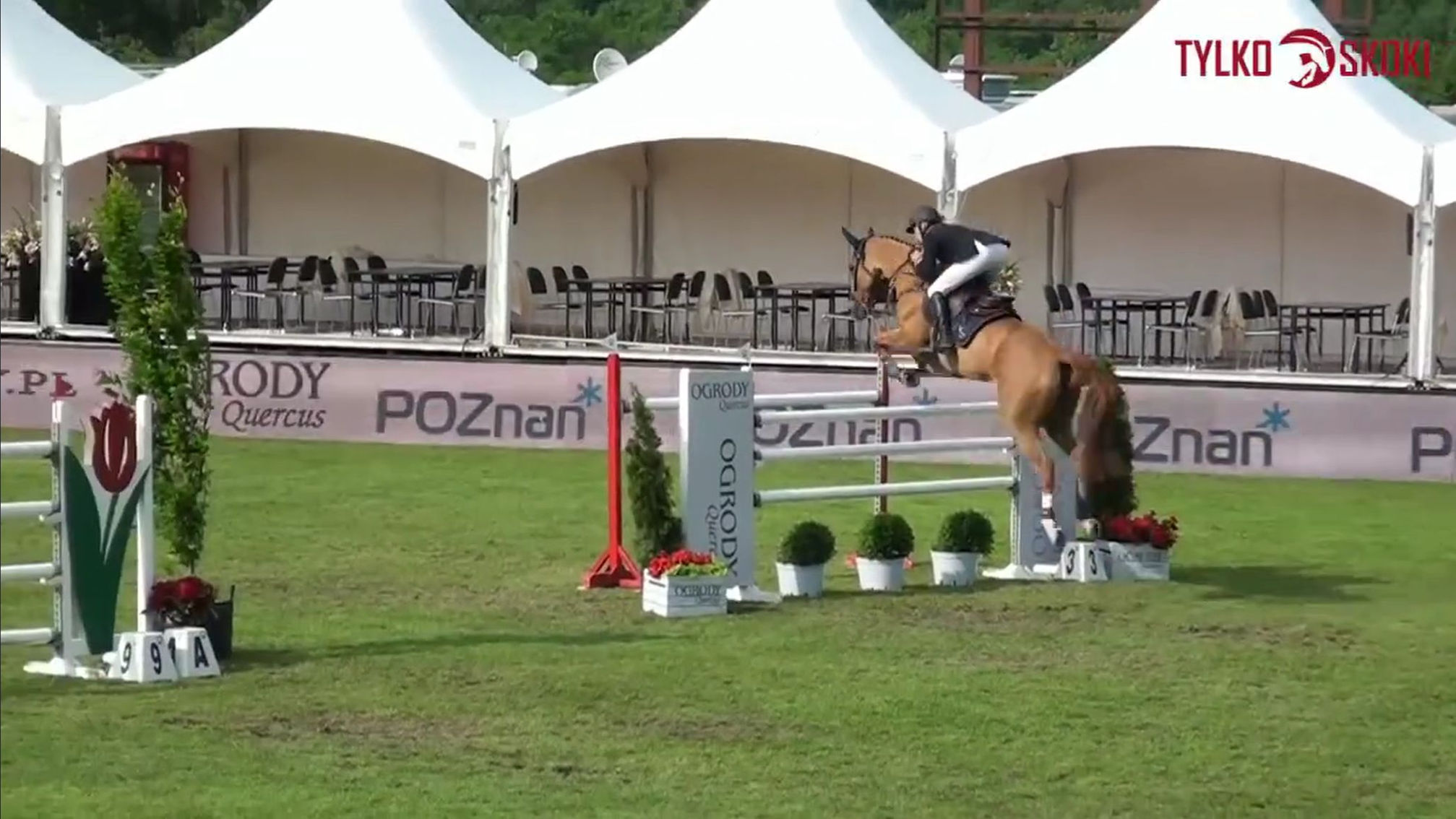 1st place in Proznan 2016